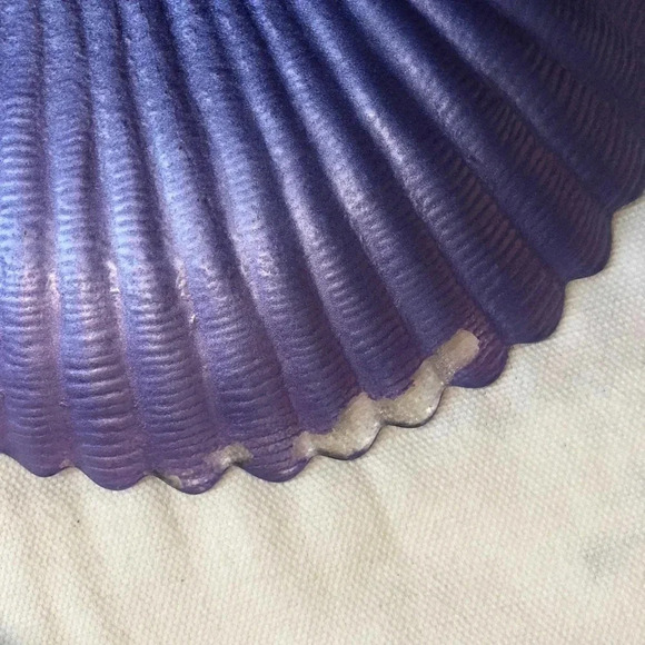 Glass Shell Shape Plates 3 pieces lot - Picture 5 of 5